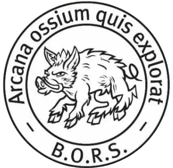 British Orthopaedic Research Society (BORS) logo representing involvement in UK orthopaedic research and evidence-based practice